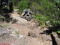 20070520-Bulli 077
